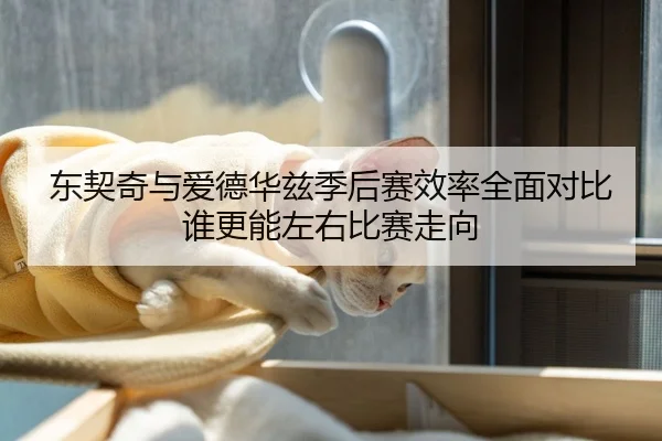 东契奇与爱德华兹季后赛效率全面对比谁更能左右比赛走向